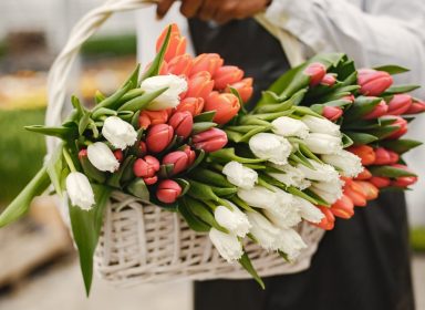 flowers-blog-img-5