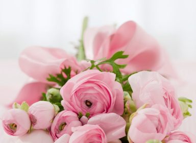 flowers-blog-img-9